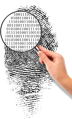 justice criminal degree degrees field digital