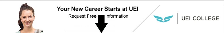 UEI Institute